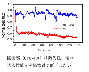 Nanoscale誌グラフ_キャプション付き.png