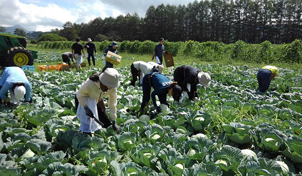 中部高冷地域における農業・環境教育共同利用拠点