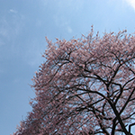 Photocontest2009