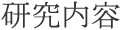研究内容