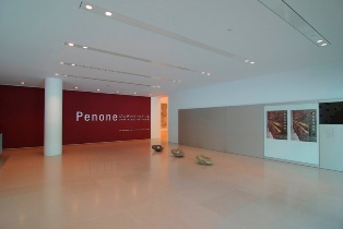 penone02.JPG