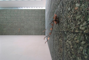penone13.JPG