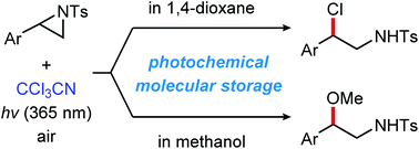 graphical abstract