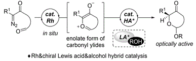 graphical abstract