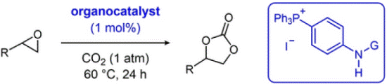 graphical abstract