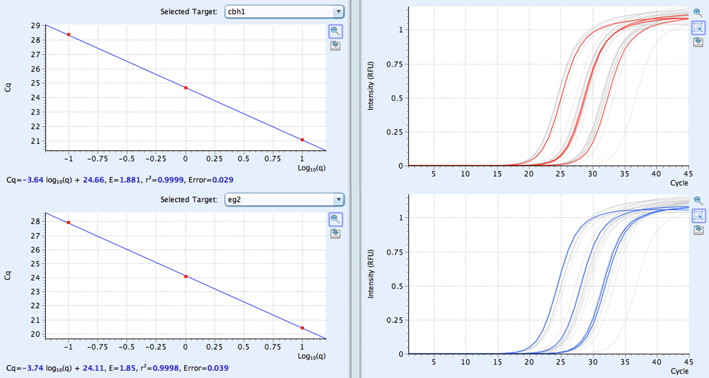 rt-pcr