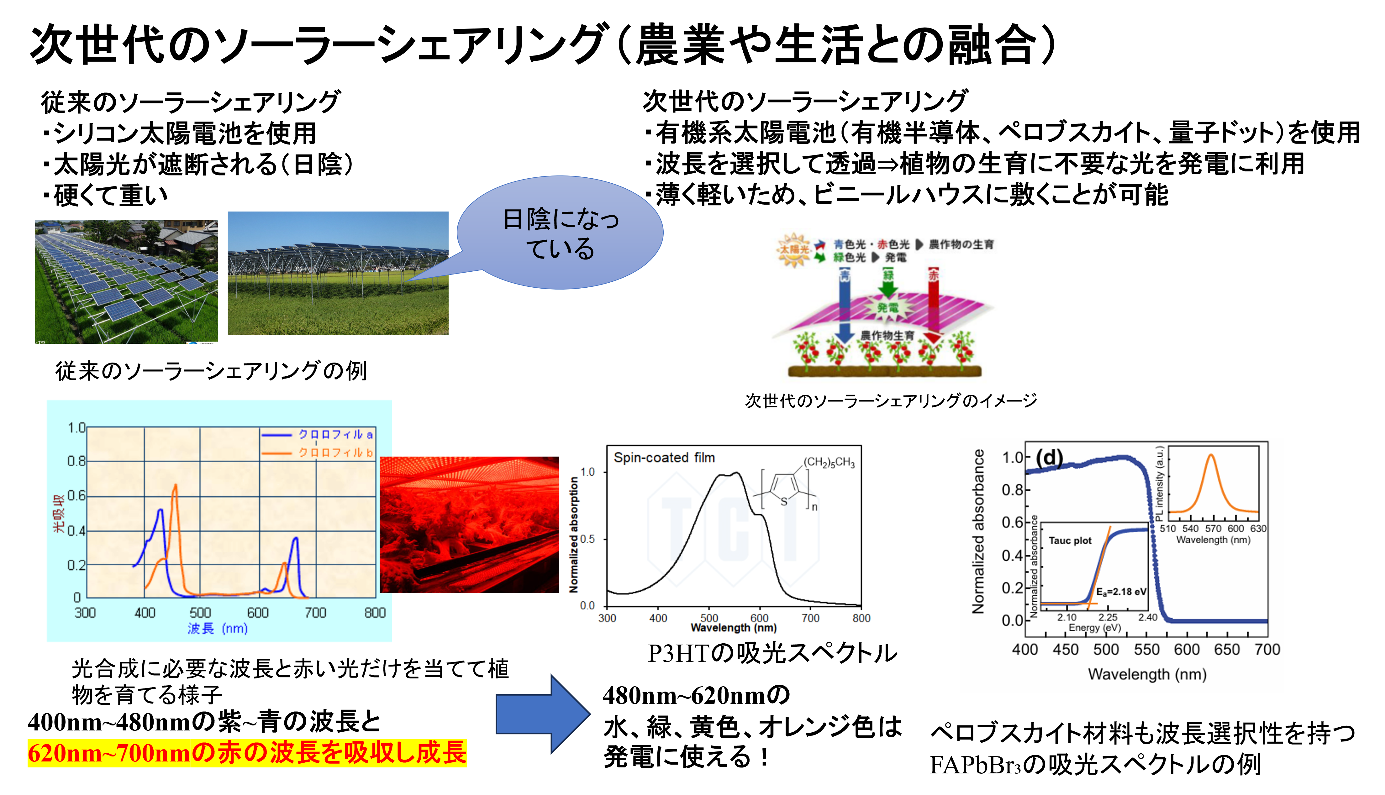 研究概要の図