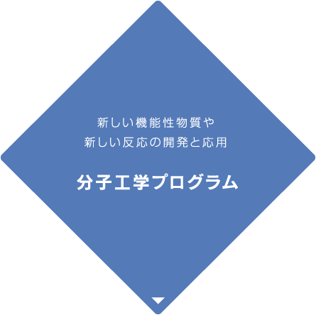 分子工学プログラム　新しい機能性物質や新しい反応の開発と応用