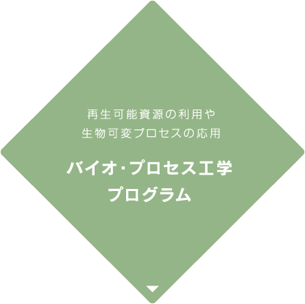 バイオ・プロセス工学プログラム　再生可能資源の利用や生物可変プロセスの応用