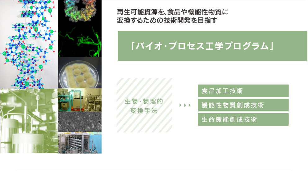 再生可能資源を、食品や機能性物質に変換するための技術開発を目指す「バイオ・プロセス工学プログラム」