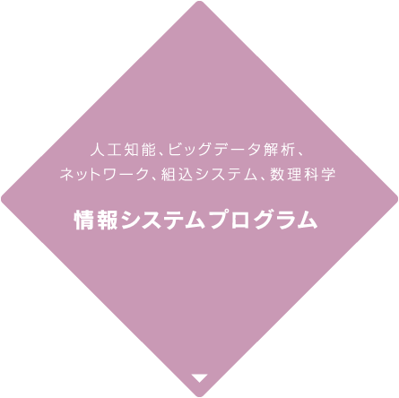 情報システムプログラム　人工知能、ビッグデータ解析、ネットワーク、組込システム、数理科学