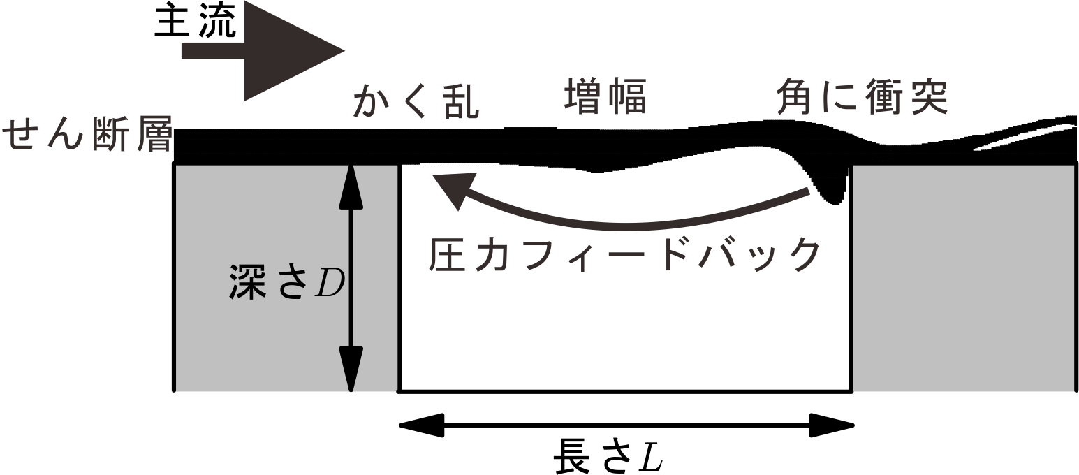 キャビティ流れ概略図.gif