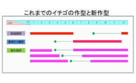 これまでのイチゴの作型と新作型