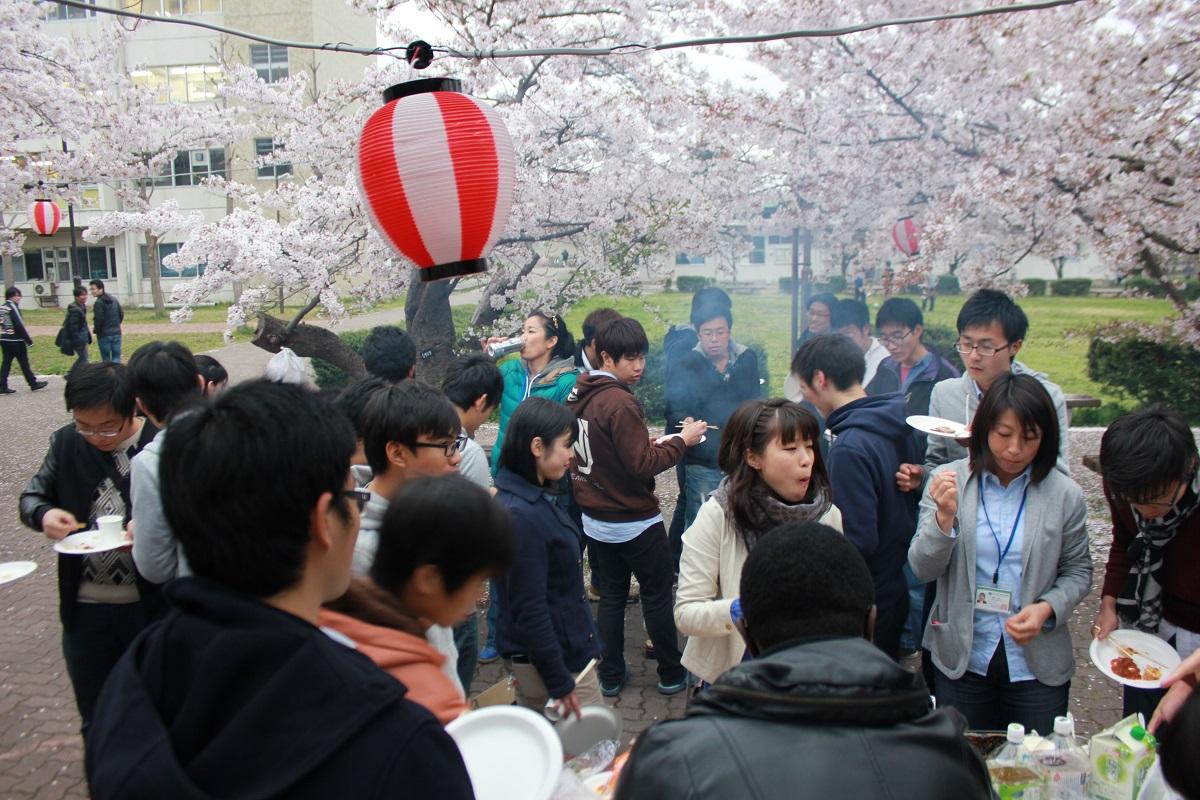 http://www.shinshu-u.ac.jp/faculty/engineering/global/international/images/hanami2014_img01.jpg