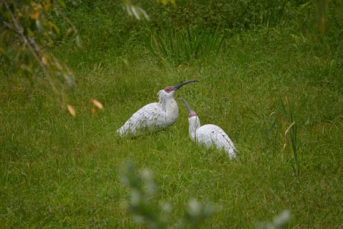 shinshu-travel2016_img05.jpg