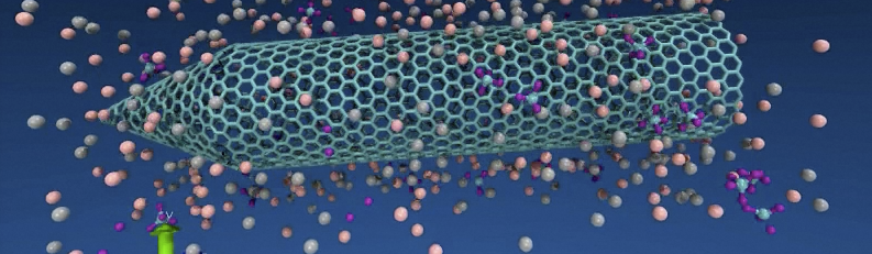 Gas multiprobe adsorption in single wall carbon nanohorn