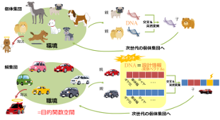 (上)生物の遺伝と進化 (下)進化計算による車の設計最適化
のイメージ図:環境に適した個体ほど次世代へ子を残し、その繰り返しにより個体集団が進化していく