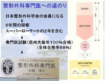 図：整形外科専門医への道のり