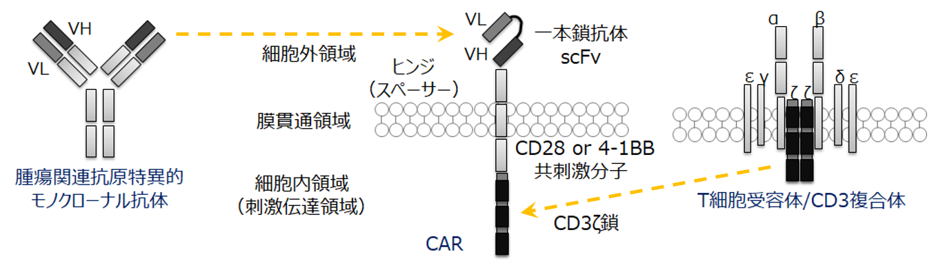 スクリーンショット 2021-08-25 140139.png