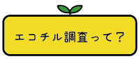 エコチル調査って？