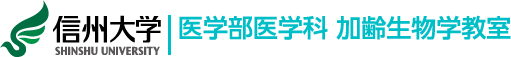 信州大学医学部医学科 加齢生物学教室