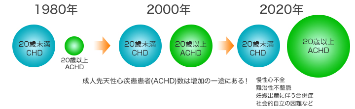 成人先天性心疾患患者数は増加の一途にある！