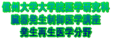 MBww@w 픭wu Đw@V 