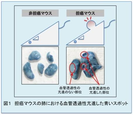 Yuichi@編入医学生 (@yuichitukubamed) / X