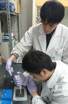 大学院生.JPG
