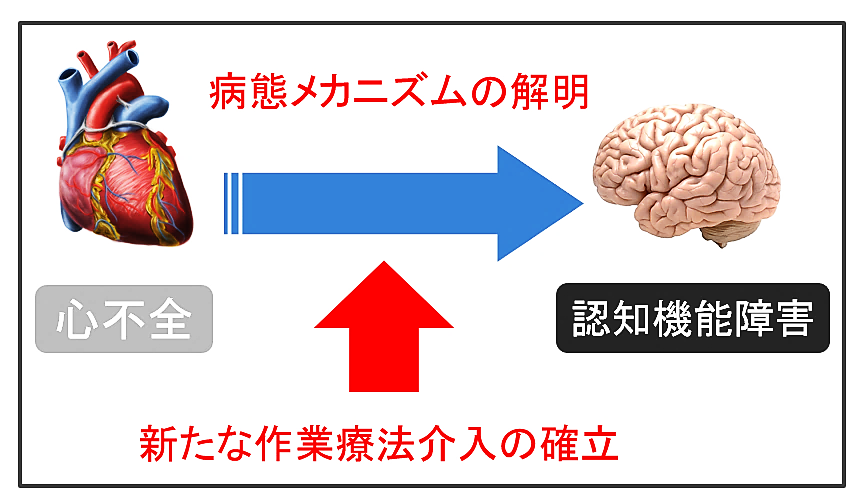 新たな作業療法介入の確立
.JPG