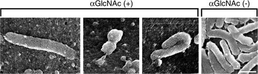 ph_research_activities01.jpg