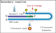 ph_treatment07.jpg