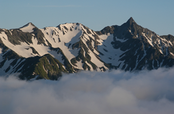 img_406_1.png