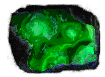 img_408_0.png