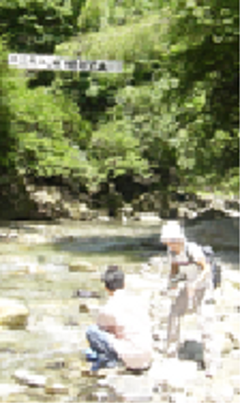 img_606_5.png