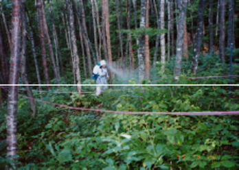 img_606_7.png