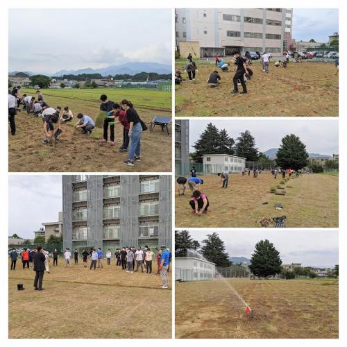 lawn_planting_at_FTST.jpgのサムネイル画像