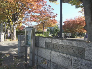 Faculty of Engineering