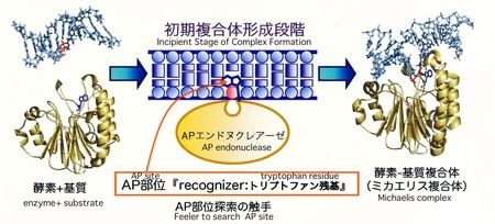 5p1216785907640567.jpgのサムネール画像