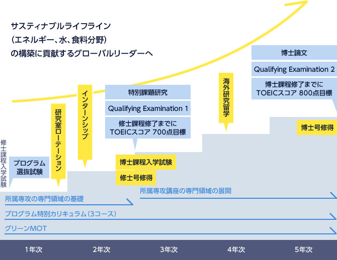 カリキュラムの流れ