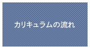 カリキュラムの流れ