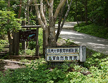 志賀自然教育園