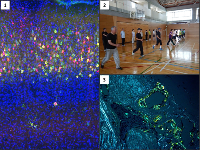 Division of NeuroHealth Innovation