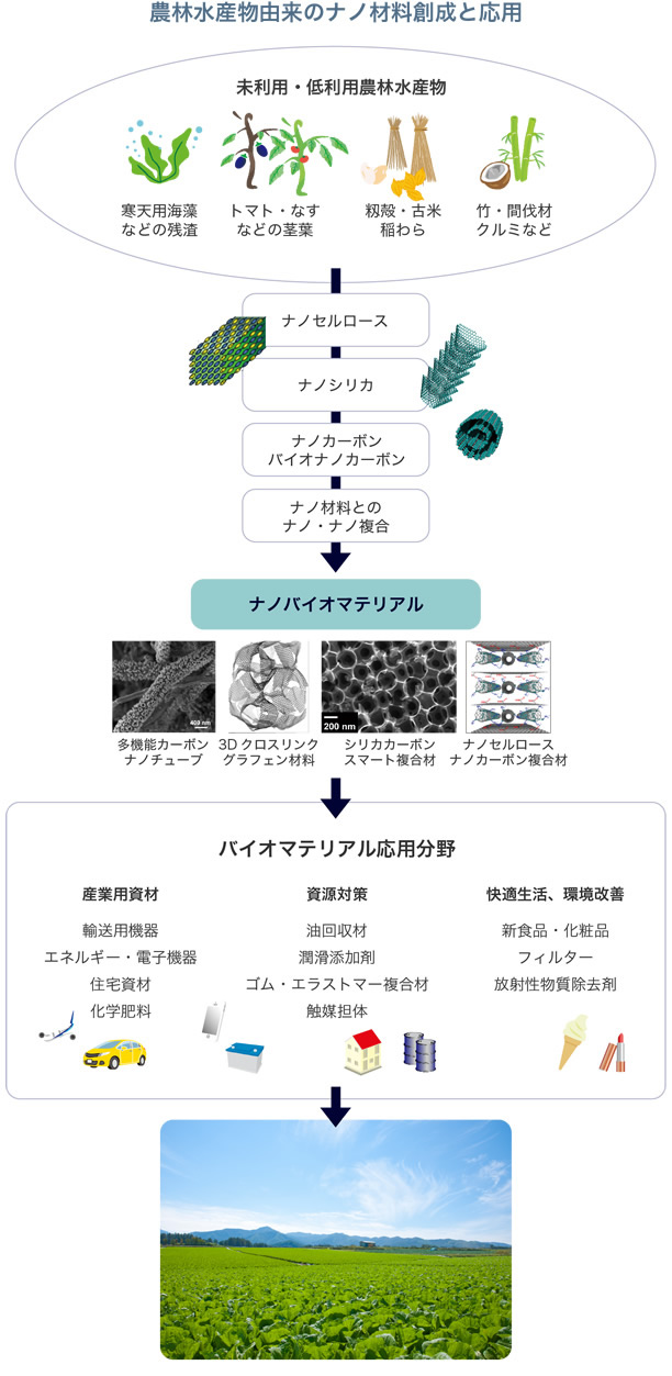 ナノアグリ研究概要