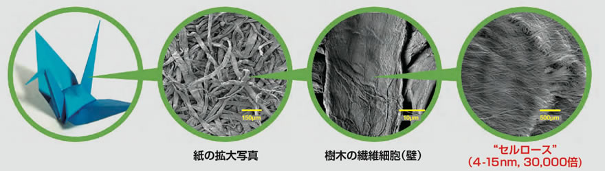 セルロースナノファイバー（ナノセルロース）とは？