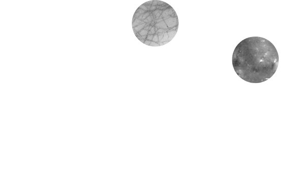 廃棄される農林水産物 廃棄プラスチック セルロースナノファイバー化 ナノナノ複合材料ナノバイオマテリアル 新素材を施設園芸に利用