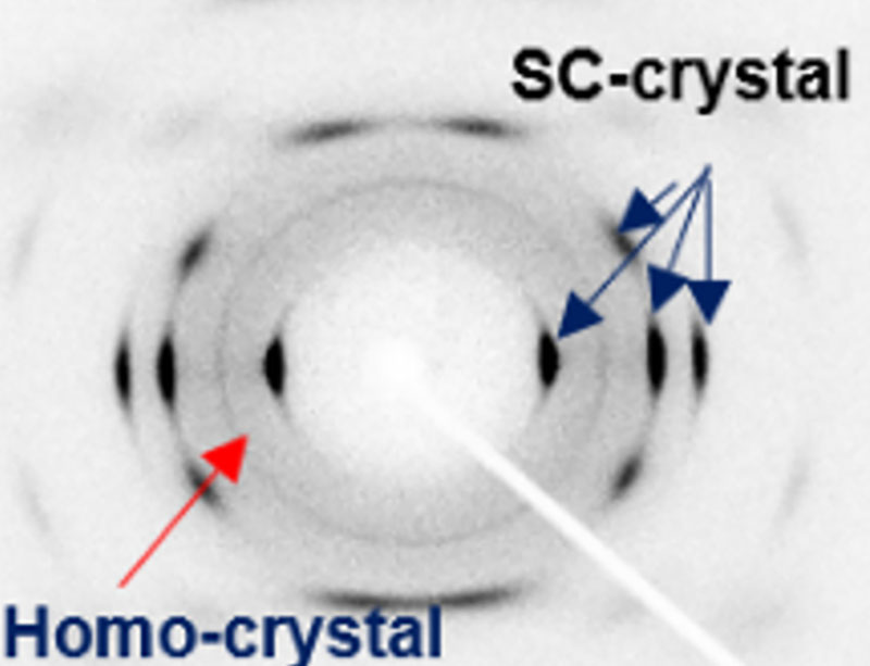 PLLA/PDLA海島複合繊維のWAXD分析（1,519島／単繊維）