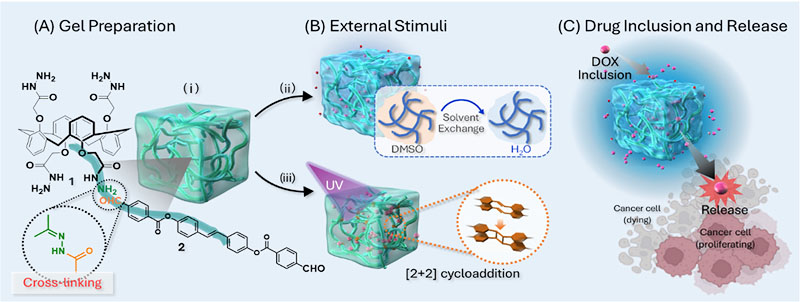 Division of Fundamental Research