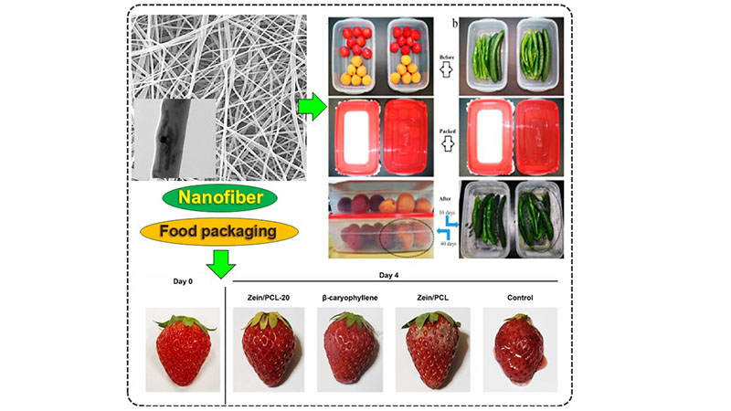 Nanofibers for Food Packaging