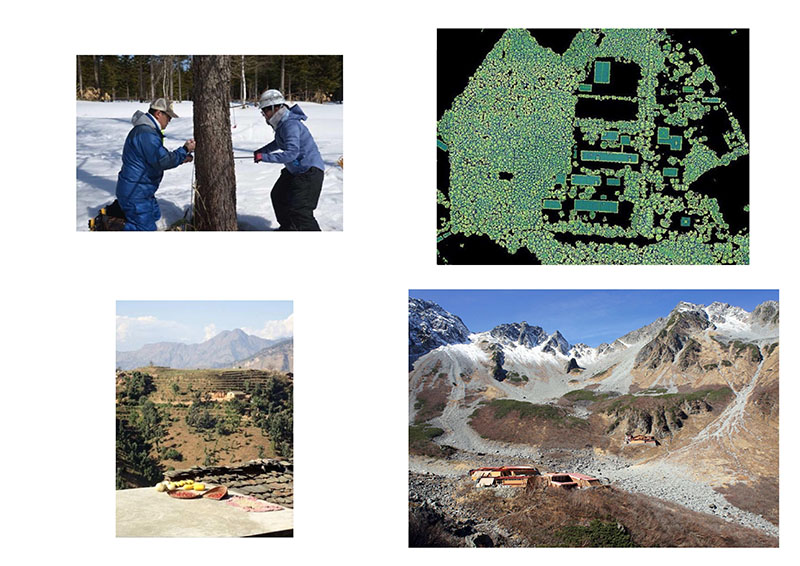 Division of Forest Resources Research